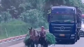 驴车上高速挡道 网友：这样算是卡车了 就是马力不足