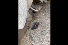 邵将修卡车：挡泥板与进气管路摩擦，造成漏洞致使泥沙进入缸体