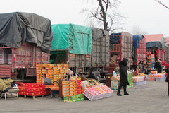 绿叶菜也不全是绿通 想免过路费 这几点你得认清楚了