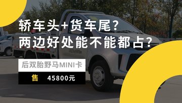 4.58万就能买一台“野马” 还能拉货！你敢信吗？