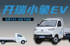 货厢3米8续航251公里，开瑞小象ev纯电动小货车新能源厢货