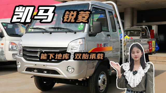 入门级小货车，能下地库，双胎承载，凯马锐菱排半栏板轻卡