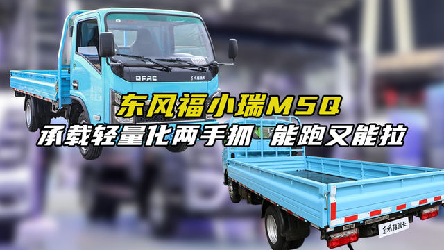 承载轻量化两手抓，能跑又能拉，东风福小瑞M5Q百公里油耗高吗