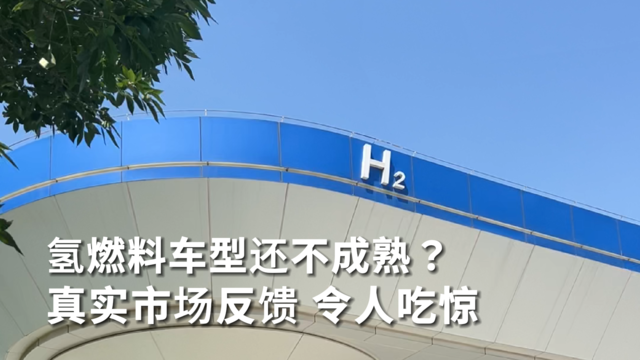氢燃料车型还不成熟？真实市场反馈 令人吃惊