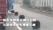 货车在公路上横行霸道，所过之路竟无一幸免