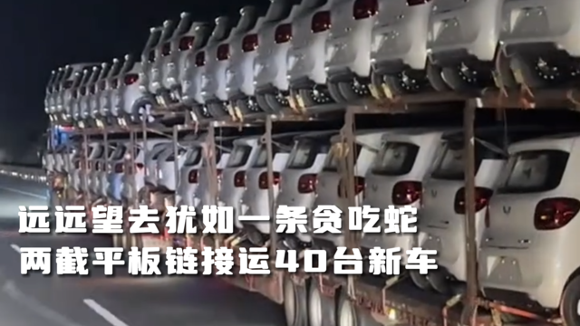 两截平板链接运40台新车，这货车吃了膨胀剂？