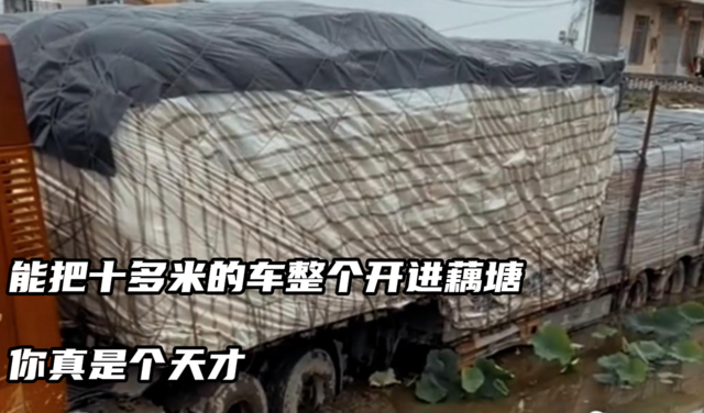 能把十多米的车整个开进藕塘，你真是个天才。