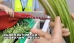 蒜苔被说成韭菜花绿通不让走？建议收费站先提升一下员工学历