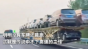 明明没有车牌还能跑 这就是传说中不下高速的二怪？
