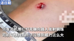 货车司机等红灯无聊竟向路人发射钢珠