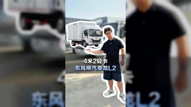 4米2蓝牌轻卡推荐，东风柳汽乘龙L2