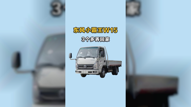 3个多的小货车！东风小霸王w15能下地库荷载大