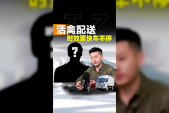 活禽配送选啥货车，时效要快人停车不停！