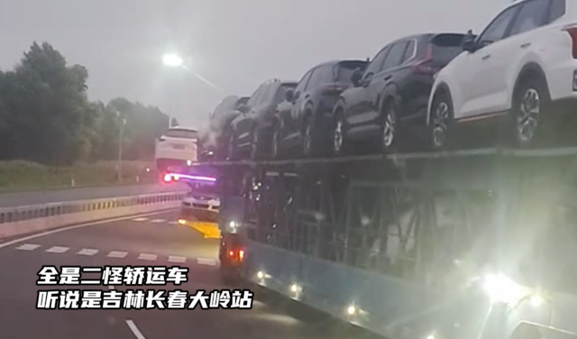 全是二怪轿运车 听说是吉林长春大岭站谁落实一下呢？