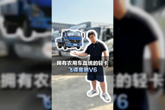 下地干活，农用车血统轻卡推荐，飞碟奥驰V6