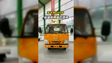 庆铃五十铃 100P，8个左右开回家