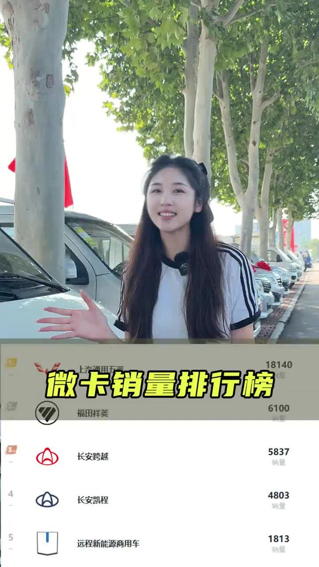 八月什么小货车销量最高！还有什么特价车？
