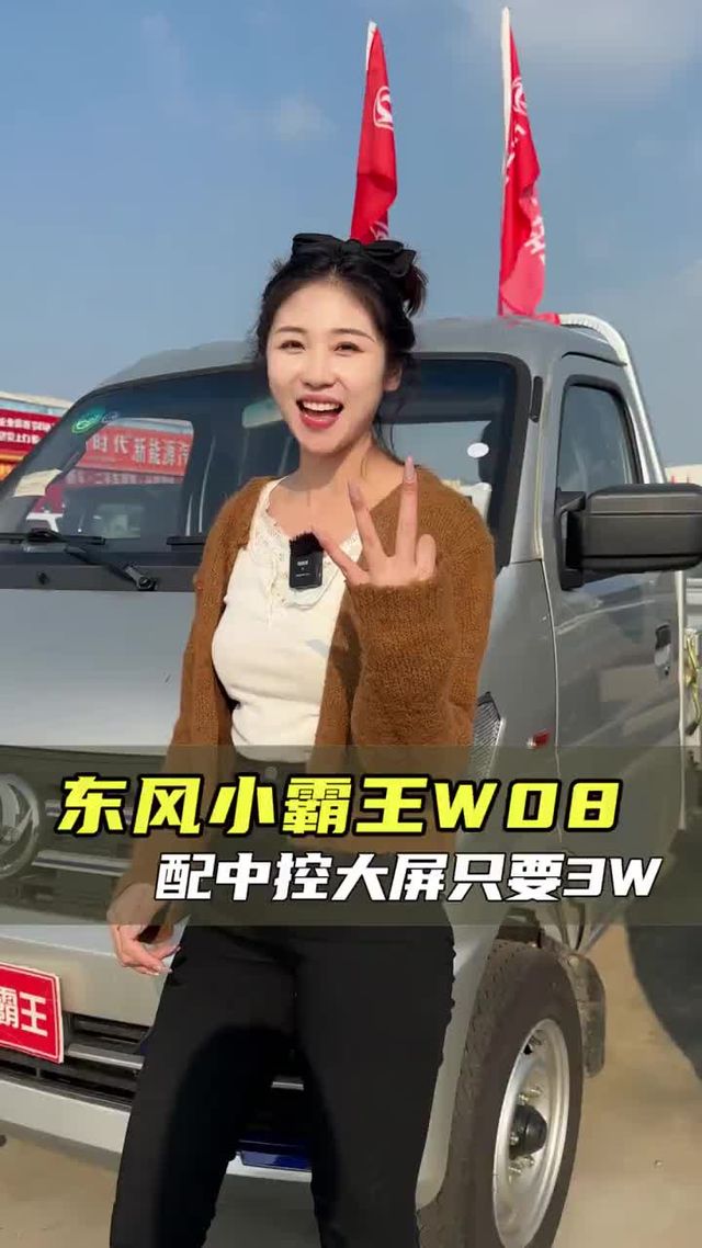 只要三个就能买小货车了？省油下地库，东风小霸王W08实车测评！