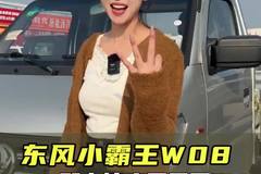 只要三个就能买小货车了？省油下地库，东风小霸王W08实车测评！