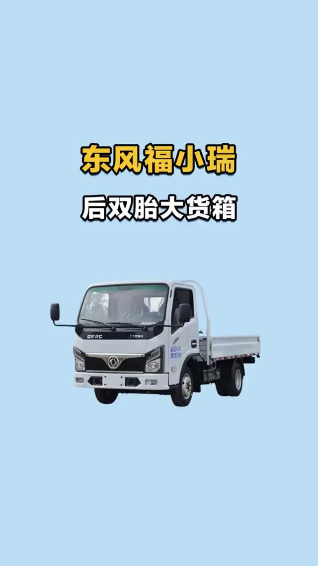 后双胎大货箱，东风福小瑞