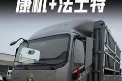 配康明斯还便宜的轻卡！陕汽德龙G300蓝牌轻卡有啥优点