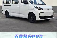 瑞普塞克 69.2 度磷酸铁锂电池，CLTC 续航 463 公里，后驱车五菱扬光