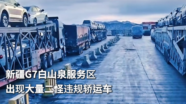 新疆G7白山泉服务区 出现大量二怪违规轿运车