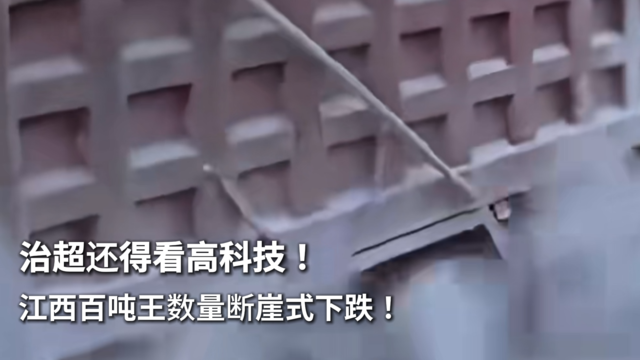 从2022年10864辆降低至2辆，这是百吨王现象得到遏制了？