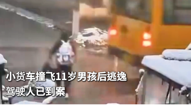 小货车撞飞11岁男孩后逃逸 驾驶人已到案