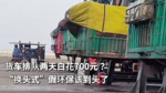 货车排队两天白花700元？ “换头式”假环保该到头了