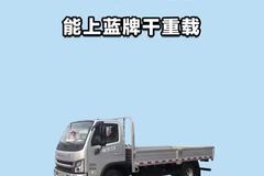 能上蓝牌干重载，福田瑞沃 S3 新品！