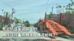 东北轿运车调研(5):网传违规重点物流园情况如何? 东北轿运车调研(5):网传违规重点物流园情况如何?