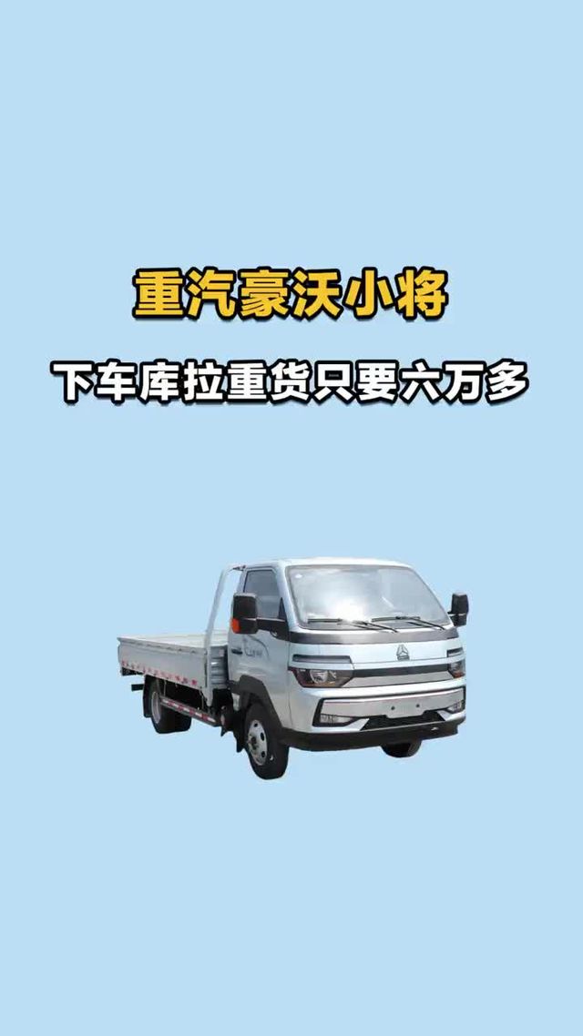 能下车库，还能拉重货，价格只要六万多