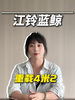 江铃蓝鲸到底凭什么敢这么配? 江铃蓝鲸到底凭什么敢这么配?