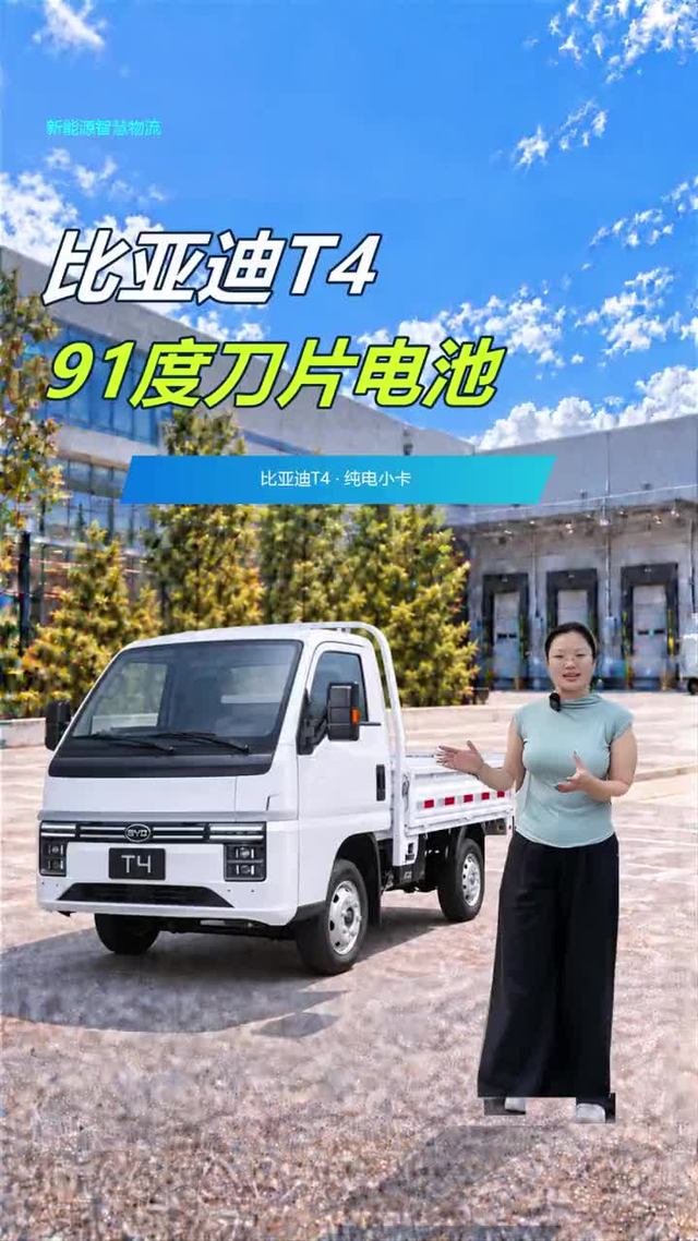 91度刀片电池比亚迪T4新版本配置讲解！！
